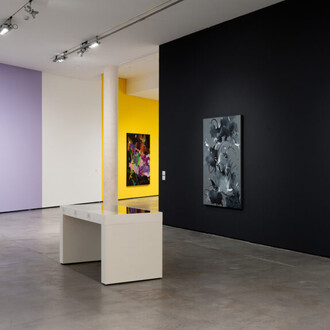 Fiona Rae, Vista, vista de exhibición. Cortesía del Es Baluard Museu d’Art Modern i Contemporani