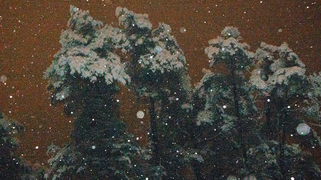 Mercedes Garcia Baltar. Cortesía de Jorge Mara - La Ruche