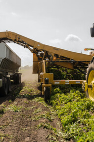 Tratores de alta tecnologia realizam colheita de forma acelerada
