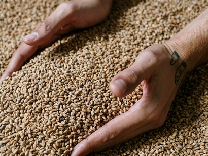 É esta a prática da Diplomacia Económica Moderna em pleno uso, quando os investimentos diretos, indiretos e todas as variações da legislação e política estratégica aduaneira, passam pela logística internacional e o Direito de Navegação, preservando o comércio mundial internacional, nas zonas de risco e  pirataria, além dos artificios tarifários e das barreiras técnicas como as políticas cambiais, tudo constante do painel apresentado no Balanço de Pagamentos, que não é só a Balança Comercial sendo esta apenas, uma daquelas contas. E a mais simples - às vezes medíocre - de todas, neste século XXI financeiro e comercial