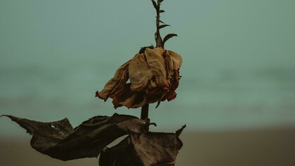 Sabemos bem que a vida nem sempre nos responde como desejamos. O curioso — ou instigante — é que, diante desses pormenores, sempre damos um jeito de nos ajustarmos ao fluxo contínuo que chamamos de vida. Também é sabido que a morte faz parte desse mesmo fluxo. E, mais uma vez, ronda o nosso espaço. Surge discreta, como quem nada quer