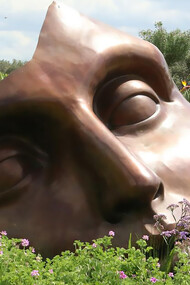 A giant mask on the grass