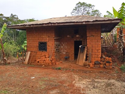 Più che imporre una visione, facilita un processo in cui le conoscenze esistenti trovano ordine e direzione