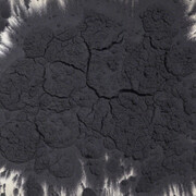 Saecula Saeculorum. Courtesy of Brand New Gallery