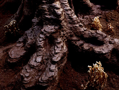 The installation for Ars Electronica 2018, titled Pahoehoe Beauty, was designed by Marjan Colletti, Daniela Mitterberger, Tiziano Derme, Georg Grasser, and FrAgile 6