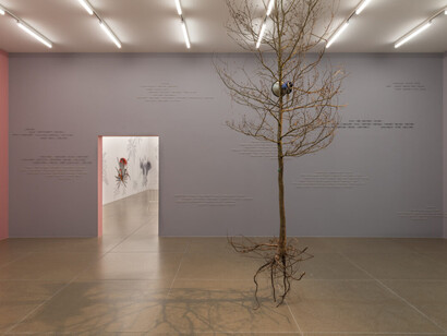 Ishita Chakraborty, Manor art prize 2024, exhibition view. Courtesy of Aargauer Kunsthaus