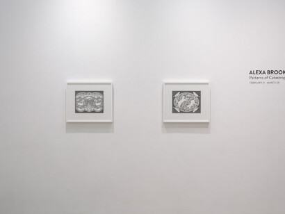 Alexa Brooks, Patterns of catastrophe, exhibition view. Courtesy of Erin Cluley Gallery