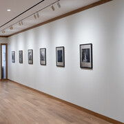 Kenro Izu, Mono no aware – The beauty of impermanence, exhibition view. Courtesy of Howard Greenberg Gallery