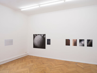 Peter Piller, Bürgerliche dämmerung (Civil twilight), exhibition view. Courtesy of Galerie Barbara Wien