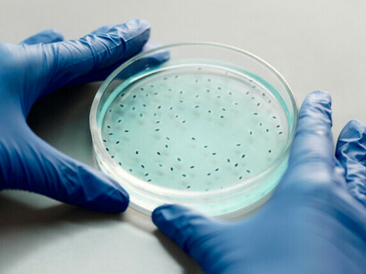 Los biomarcadores predictivos y de riesgo ofrecen información clave sobre la respuesta a un tratamiento y la probabilidad de desarrollar una patología futura