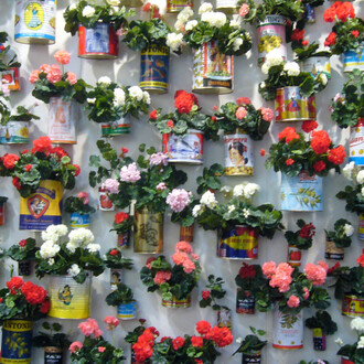 Pilar Albarracín, Muro de Geranios (detail), 2005. Courtesy of Galerie Vallois