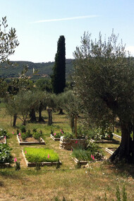 L'orto appena realizzato