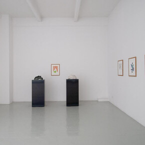 Artisti vari, Galleria Tucci Russo, 50mo anniversario ottobre 1975 – ottobre 2025, veduta della mostra. Cortesia della Galleria Tucci Russo