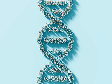 Human genetics involves genome sequencing, with a focus on the multi-colored molecular structure of the DNA helix, illustrating the complexity and diversity of genetic information