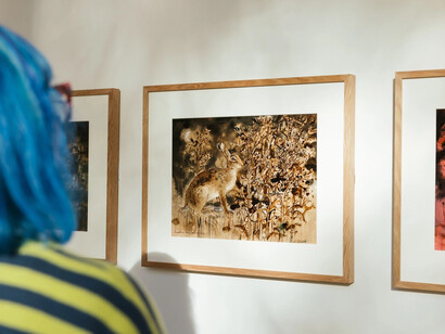 Andrew Waddington, Betwixt and between – The poetry of landscape, exhibition view. Courtesy of Yorkshire Sculpture Park