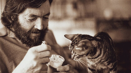 La convivencia con los gatos revela un universo íntimo hecho de rituales, silencios y pequeños pactos que transforman la vida cotidiana