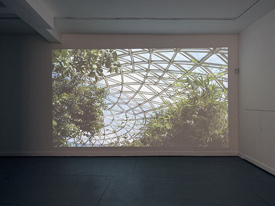 Una Knox, Sounding out - plant hunters, space seekers, listeners, fakers, keepers, 2014, HD video, 6’36”