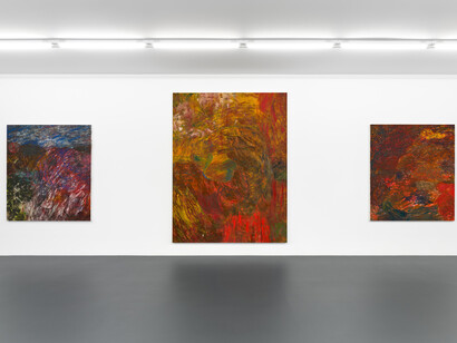 Brett Goodroad, Paradise valley, exhibition view. Courtesy of Michael Werner Gallery