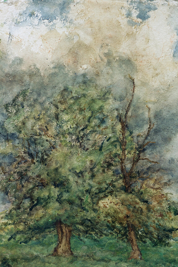 Daniel Chatto. Green Earth Meer