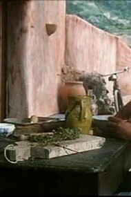 De la pelicula, conversación entre el cartero y Neruda en la casa del poeta.