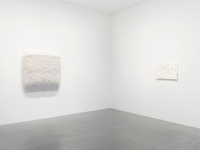 Paola Pivi, Live again, exhibition view. Courtesy of Perrotin 