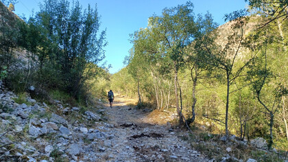 El Camino de Santiago propone una experiencia de despojo y reconexión en la que caminar, en su forma más simple y repetida, se convierte en una vía para reencontrarse con el sentido profundo de la vida y con uno mismo