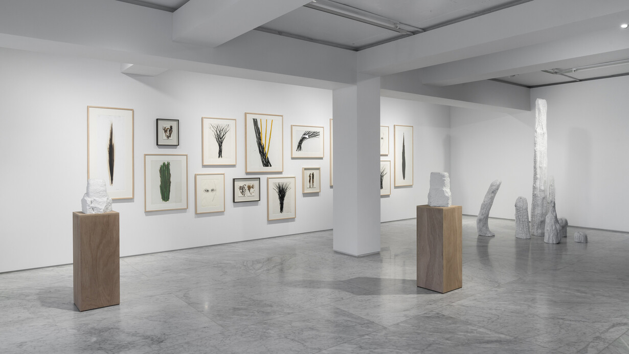 Chung, Hyun, The cumulative burst, exhibition view. Courtesy of PKM Gallery