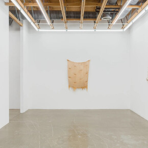 Molly Haynes, Liquescent, exhibition view. Courtesy of Ochi Projects