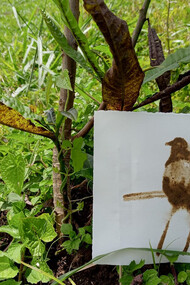 Jonathan Chaves; Ofrendas. Técnica mixta, 2022