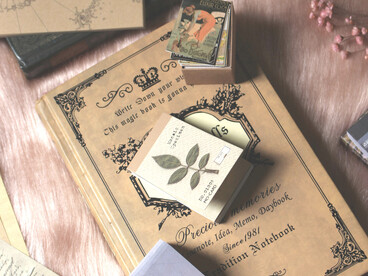 Aesthetic flat lay of a vintage journal or scrapbook with yellowed pages and dried flowers on a wooden table