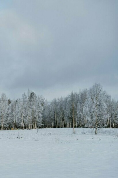 Even in winters of fear and division, life prepares for its next season of renewal