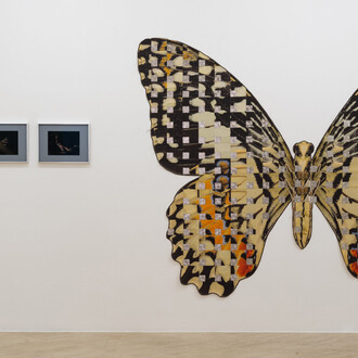 Anthea Hamilton, Soft you, vista della mostra. Per gentile concessione della Fondazione Memmo