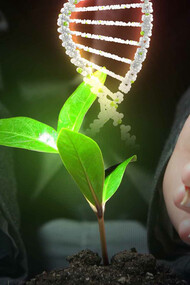 Alimentazione naturale e DNA