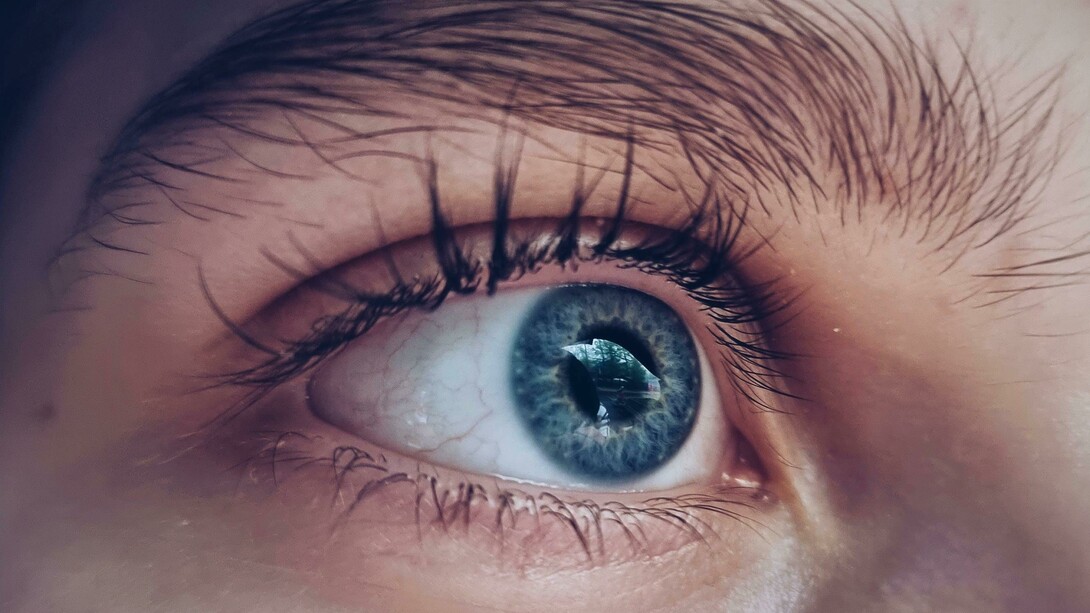 Durante muito tempo, fomos ensinados a ver o corpo como um sistema mecânico. Um conjunto de peças que funcionam bem até que, de repente, algo quebra. Nessa lógica, a emoção aparece apenas como um "fator de risco": estresse, ansiedade, raiva. Mas e se for o contrário? E se a emoção for o ponto de partida? E se saúde for menos sobre "evitar a doença" e mais sobre sustentar um estado de presença consigo mesmo?