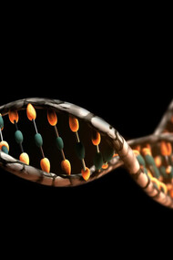 Representation of the human DNA strand intertwined with food elements