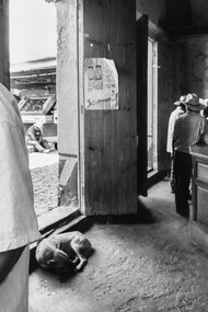 Xochitlán de Vicente Suárez, México