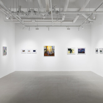 Tang Chao, Tomorrow nevermore, exhibition view. Courtesy of Vanguard Gallery