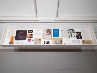 Love rules: the Harm reduction archives of Heather Edney and Richard Berkowitz, exhibition view. Courtesy of MoMA PS1