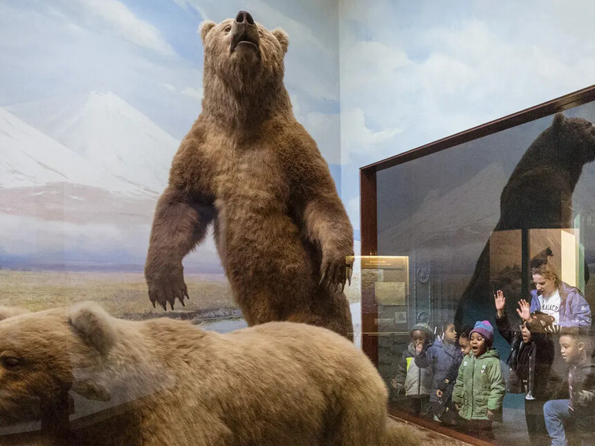 Nature walk and messages from the wilderness Meer