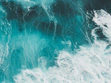 Trascorrere tempo nel verde migliora la concentrazione e la chiarezza del pensiero