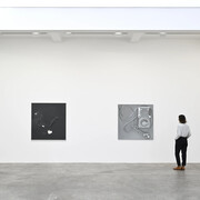 Paul Sietsema, exhibition view. Courtesy of Marian Goodman Gallery