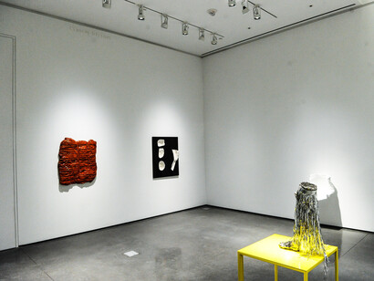 View from the new Aspen Art Museum's inaugural exhibition Rosemarie Trockel, on view August 9 through October 26, 2014. Photo by Billy Farrell Agency. 