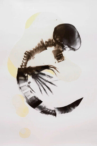 Kunié Sugiura, Embriwhoooh (detail), 1995. Courtesy of Moskowitz Bayse