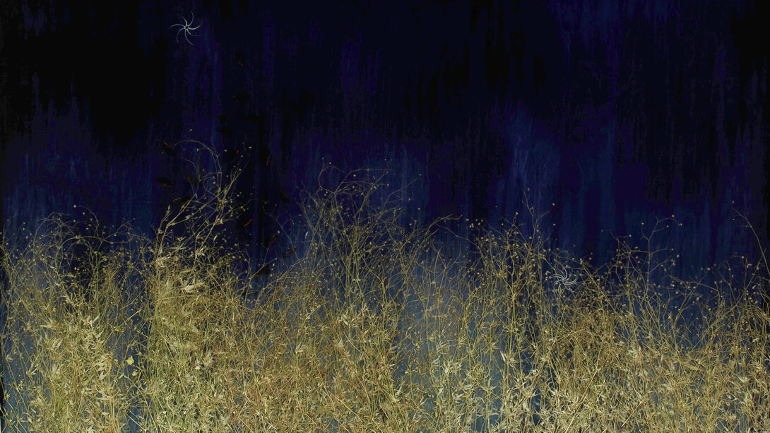Mayme Kratz, Dark garden 19 (detail), 2025. Courtesy of Gilman Contemporary