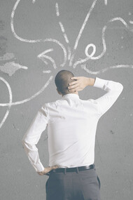 How do you organize your study?