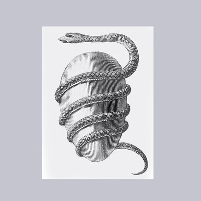 L'uovo orfico: «Ophis et ovum mundanum Tyriorum». Il serpente e l'uovo cosmico degli abitanti di Tiro. Utilizzato dalla Società di Turku per le Scienze Spirituali