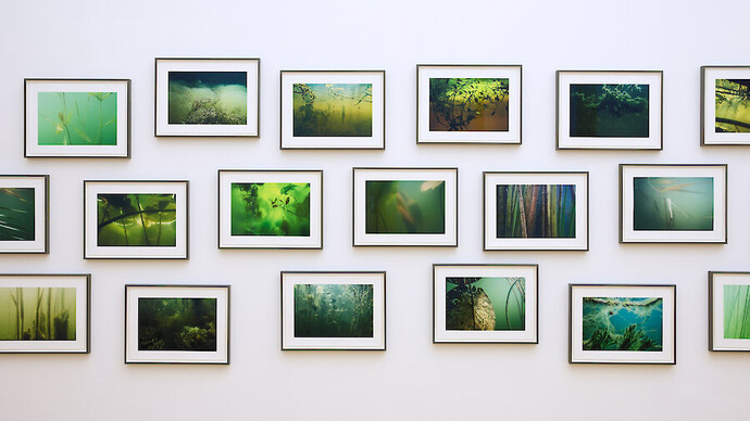 Verschiedene künstler, Über land, ausstellungsansicht. Mit freundlicher genehmigung des Museums der bildenden Künste Leipzig