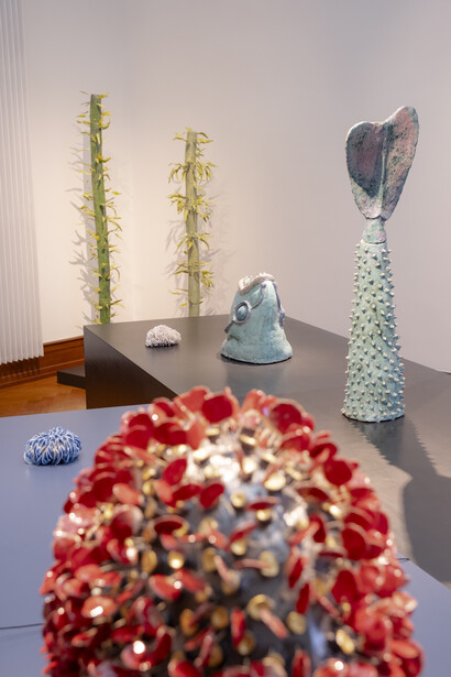 António Vasconcelos Lapa, Extra-nature, exhibition view. Courtesy of the Musée Ariana. Photo by Boris Dunand, Musée Ariana Geneva
