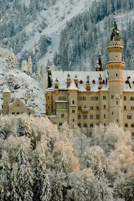 Neuschwanstein Castle © Luis Miguel Justino