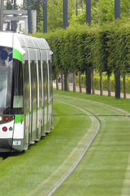 We should investigate the green spaces being planned for our neighborhoods and cities